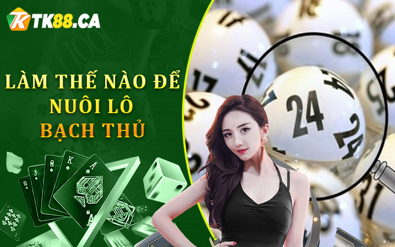 Làm thế nào để nuôi lô bạch thủ khung 2, 3, 5 ngày mà không thua?